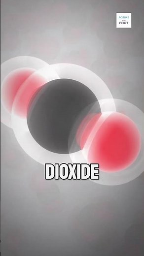 Why does cheese have holes?