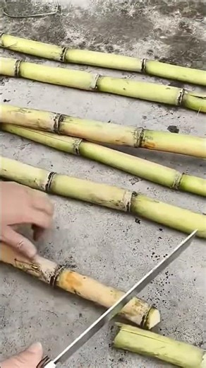 One Easy Process Of Processing Sugar Cane 🌿🥤