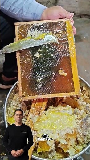 How to extract PURE HONEY from the honeycomb without waste #beekeeping #honey #hacks