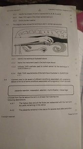 4.2 Oestrus Cycle Phases4.2.1 Identify the phases of oestrus r... | Filo