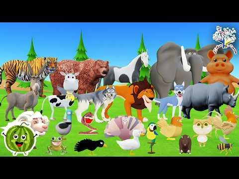 The Animal Sounds Song Z3Z6 || Come See The Animal At The Zoo! Edufam Kids Song and Nursery Rhymes