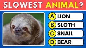 396K views · 6.4K reactions | Animal Quiz 30 Questions | Test Your Wildlife Knowledge 女 #AnimalQuiz #WildlifeTrivia #QuizChallenge | Wisdom Time | Facebook