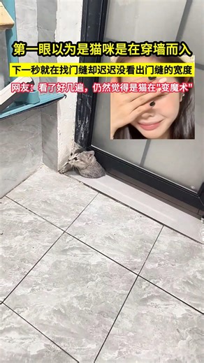 第一眼以為是貓咪是在穿牆而入，猜它是從門縫中進來的，卻遲遲找不到門縫，網友：看了好幾遍，仍然覺得是貓在"變魔術"！#shorts