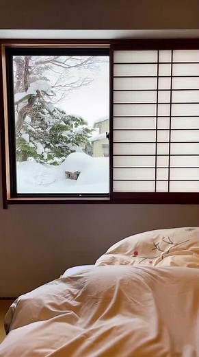 Travelling to the snowy mountains & onsen in Japan ❄️ #fyp #fypシ #野沢温泉 #nozawaonsen #japan #japantravel #japanlife #japaneseculture #onsen #温泉旅行