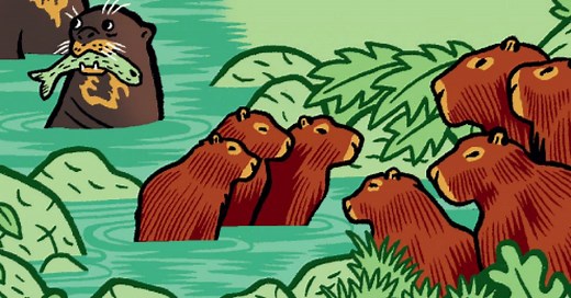 Qual a diferença entre paca, ariranha, capivara e cutia?