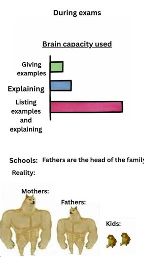 Brain capacity used in exams