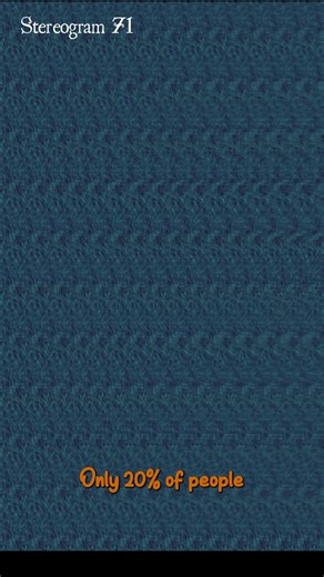 Discover Hidden 3D Shapes in This Stereogram (71)