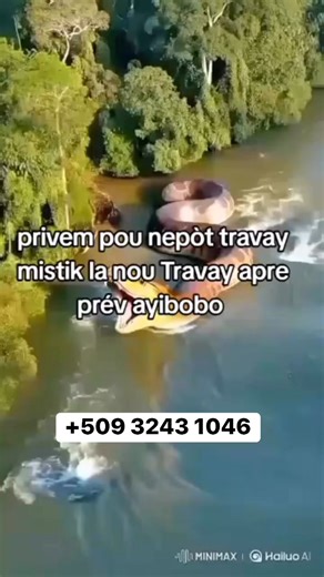 #viralvideoシfyp #viralvideoシ #FecebookViralVideo #viralvideochallenge #ggggggggggggggggggggggggggggggggggggggggggggggg #vies # #newyorkcity #miamibeach | Ougan Dede Gwo Dyab