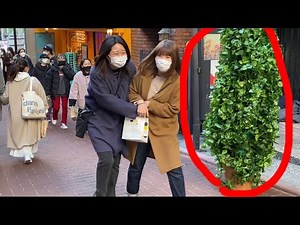 Bushman Prank-Japanese Best Reaction/葉っぱが急に動き出すドッキリ