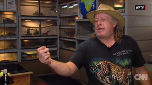 Python found hiding under hood of SUV