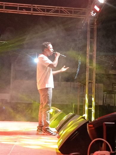 #smarty #reine #liveperformance #concertbf