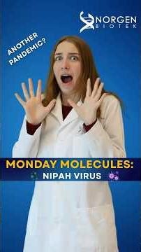 Nipah Virus Explained