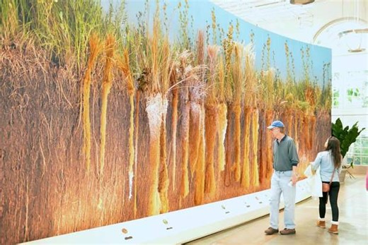 Alpine Gardens summer events