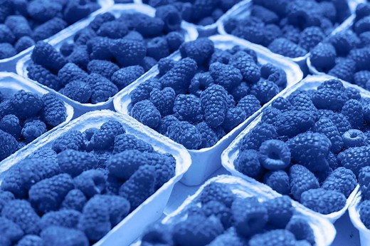 What Is Blue Raspberry, Exactly?