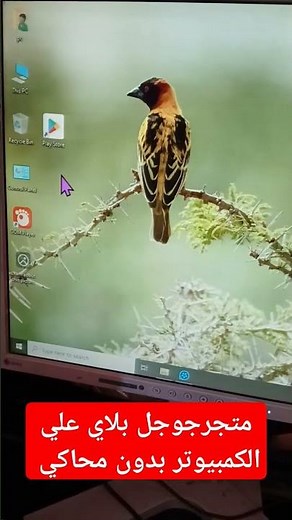 جوجل بلاي علي الكمبيوتر بدون محاكي (الطريقة الأفضل)