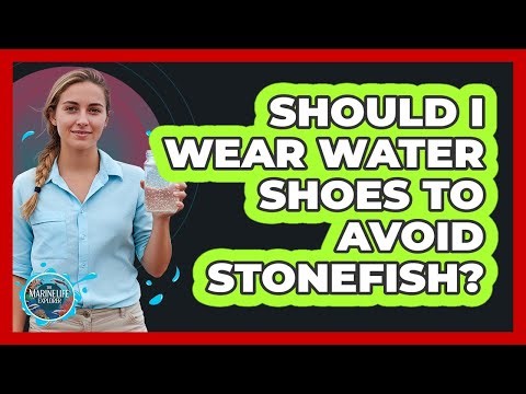 Should I Wear Water Shoes To Avoid Stonefish?