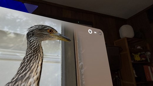 Spatial Scenes & Spatial Photos add depth to your memories, but in different ways