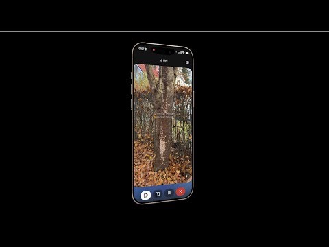 Clone the Gemini Live App in Python
