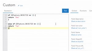 How To:  Create custom labels for specific features in ArcGIS Online web map using Arcade espressions
