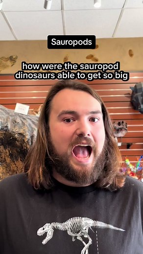 How were the Sauropod Dinosaurs able to get so big?! 🦕🦕🦕 —————————————————— Follow for more reels on Dinosaurs, Geology, Fossils, and other Prehistoric things! —————————————————— #science #learning #childeducation #education #dinosaurs