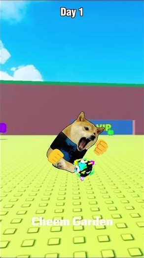 Too Poor… Bacon Got Dumped by His Girlfriend! 😅💸 #roblox #cheems #shorts