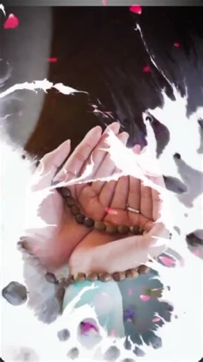 batool Rani (@batool.rani25)’s videos with original sound - batool Rani