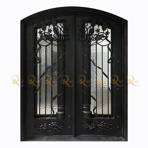 [Hot Item] Full Arched Wrought Iron Double Entry Door with Magnetic Flyscreen