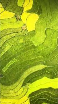 As Fifths above, So Fourths below #electronicmusic #cakewalk #xrischief