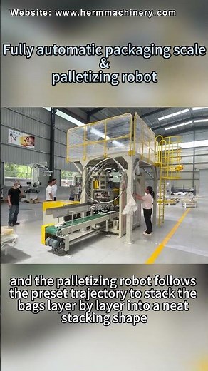 Smart Feed Palletizer Robot | Reduce Labor & Increase Productivity #roboticpalletizer