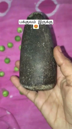 இது தெரியுமா😍 #pinkysgallery #food #trending #villagevlog #villagelife #sundakkai #sundakkaikulambu