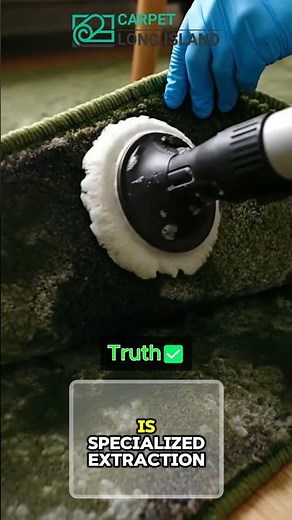 🚨 Mold Under Your Rug? Don’t Replace It Yet! 😱🦠
