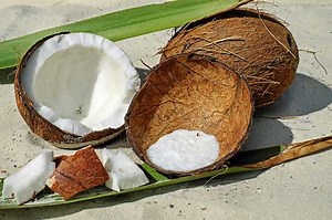 Coconut facts, an information sheet for kids cooking activities.