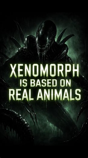 Xenomorph was based on these real life animals. #xenomorph #alien #movies #moviefacts #scifi #horror