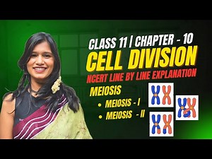 Cell Cycle and Cell Division | Part 03 | Chapter 10 | NCERT Line by Line Explanation | NEET2026