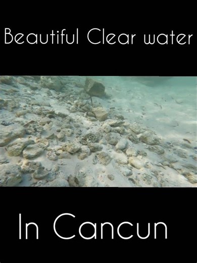 The Beautiful Water in Cancun 4K Underwater Gopro