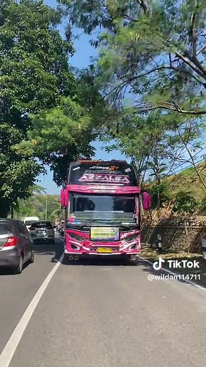 Nostalgia#fyppppppppppppppppppppppp #basurimusicalhorn #basurihornmusicalairhorn #busmania @gungz_k410