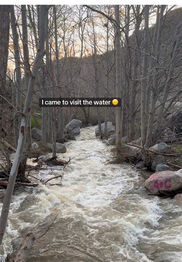 Exploring Lytle Creek in Winter 2026