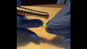 LightWalker vs Extracted Tooth