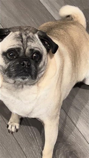 success 1 or fail 17￼￼