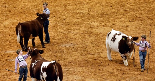 What to know about the 2025 Fort Worth Stock Show & Rodeo, from tickets to events