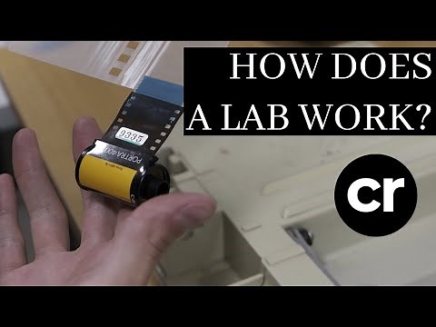 How does a lab develop your film? | Camerarescue Summer Adventures EP. 2
