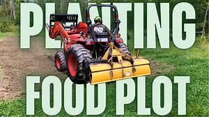 Planting a food plot for whitetail deer success