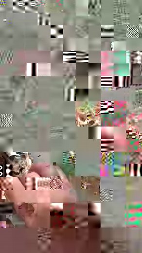 184K views · 1.9K reactions | Recipe here: https://therecipecritic.com/chicken-salad/ This is the Best Chicken Salad EVER! Perfect for summer picnics, festive lunches and anytime in between! | Tried and True Recipes | Facebook