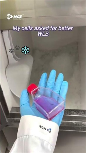 💜Lab Life | Taking my cell babies on a lab tour 🧫✨