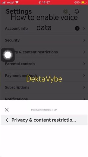 How to enable voice data usage in Roblox ☑️
