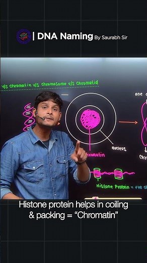 DNA Naming Made Easy | Chromatin vs Chromosome vs Chromatids | Biology