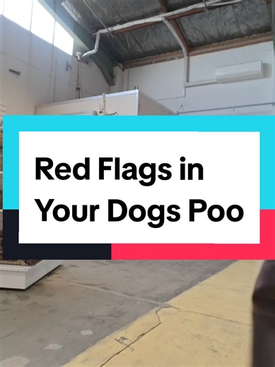 Part 3 - Soft vs Runny Poo. One is good progress with the new diet. The other is a red flag you need to do something about.