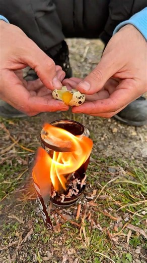 Life hack: cooking quail eggs in the forest… does this actually work? 🤔🔥Bushcraft Survival Skills