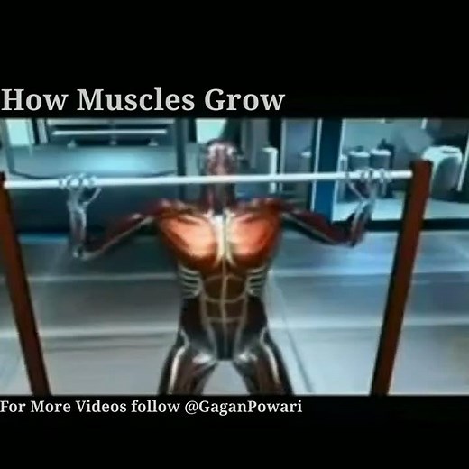 HOW MUSCLES GROW (3D ANIMATION) #musclegrow #short #musclegrowth