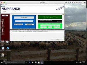 NSIP Pedigree Master Tutorial- Set up